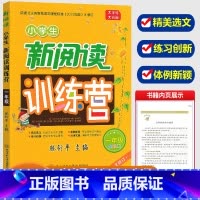[正版]新版滕衍平主编 小学生新阅读训练营一年级语文上册下册人教版 小学1年级阅读分析理解语句组词造句作文训练辅导训练