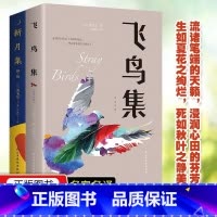 [2册]飞鸟集+新月集 [正版]2册飞鸟集+新月集 原版彩图珍藏英汉对照双语版 泰戈尔诗集文学诗歌世界名著