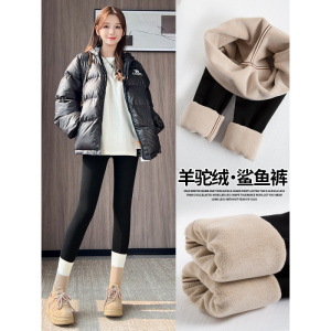 加绒鲨鱼裤女外穿新款秋冬季加厚保暖棉裤紧身黑色瑜伽打底裤