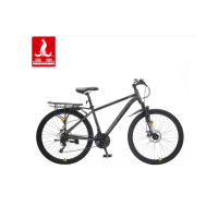 凤凰(Phoenix)26寸21速山地自行车-衣架款(辐条轮)霸道Plus