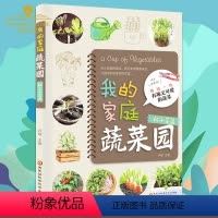 [正版]我的家庭蔬菜园 零基础轻松学种健康美味蔬菜 家庭种菜生活类家庭园城市家庭生活废品回收利用再造杯子花盆容器种植蔬