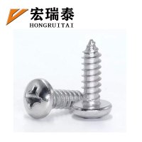 宏瑞泰 不锈钢十字圆头自攻螺丝 M3*20 个