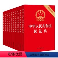 [正版]10本套装 中华人民共和国民法典 附草案说明 32开 压纹烫金版 法律出版社