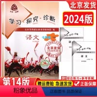 语文 七年级下 [正版]2024春新版 北京西城 学习探究诊断 七年级下册 语文人教版 第14版 学探诊 7年级下册