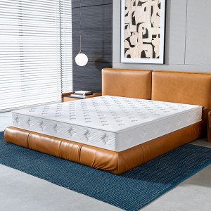 域赢床垫家用3E椰棕床垫卧室床垫全网弹簧家用床垫单人床垫1.8米