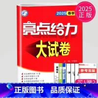语文 九年级下 人教版 九年级下 [正版]2024亮点给力大试卷九年级上册数学物理语文化学英语九上人教版苏科版苏教版译林
