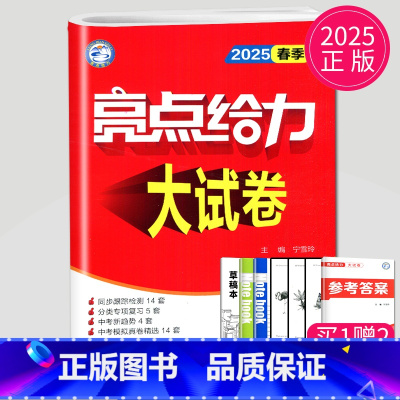语文 九年级下 人教版 九年级下 [正版]2024亮点给力大试卷九年级上册数学物理语文化学英语九上人教版苏科版苏教版译林
