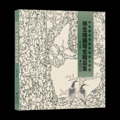 正版新书]中央美术学院苏百钧工作室——师生线描写生精品集苏百