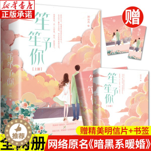 [醉染正版]笙笙予你 上下全2册 顾南西原著正版 潇湘书院悦读纪 原名暗黑系暖婚系列全套完结 暖文甜宠青春言情小说校园畅