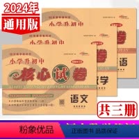 语文数学英语共3册 小学升初中 [正版]小学升初中核心试卷语文数学英语共3册 全新版小升初试卷小考复习冲刺资料小学六6年