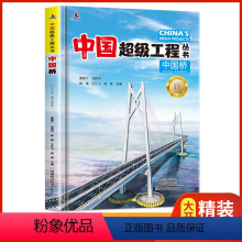 [正版]中国桥 中国超级工程丛书系列青少年建筑科普百科知识