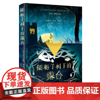 米亚·科托作品选 缅栀子树下的露台 北贝 文献(莫)米亚·科托/著 周宁/译 小说 莫桑比克 老人院 广西师范大学出版