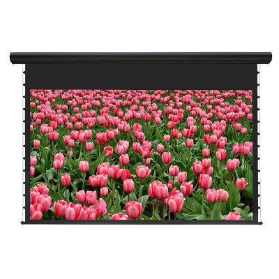 经科JK电动遥控拉线投影幕布H3-AT/2t拉绳编织透声白幕126寸16:10