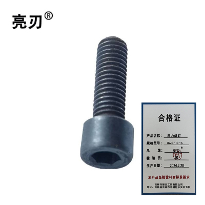 亮刃 压力螺钉 M6×1×16 个