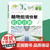 植物组培快繁彩图详解 焦顺然 植物组织培养技术书籍 0821中国林业出版社