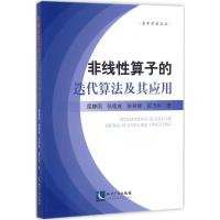 非线性算子的迭代算法及其应用