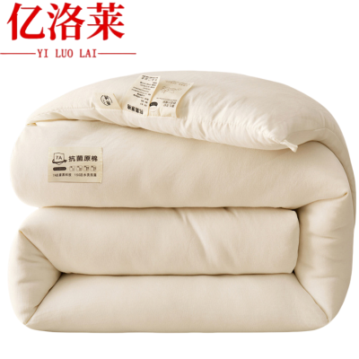 亿洛莱 大豆被 200*230cm 4斤 床