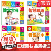 正版套装 聪明宝宝启蒙大全 看图识字+数字字母+汉语拼音+智慧成语 套装全4册 儿童幼儿识字认数拼音启蒙早教认知书籍