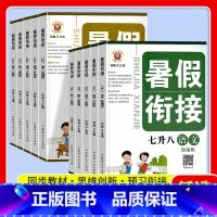 水浒传 七年级 [正版]2023新励耘暑假衔接七升八语文数学英语科学八升九人教版浙教版七年级下册复习八年级上册复习暑假作