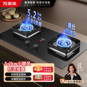 万家乐全进风旋火双眼灶5.2KW热电偶熄火保护钢化玻璃台嵌两用