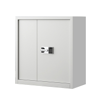 铭威盾指纹电子保密柜钢制密码文件柜档案柜矮柜保密资料柜办公柜单节白色:国保锁