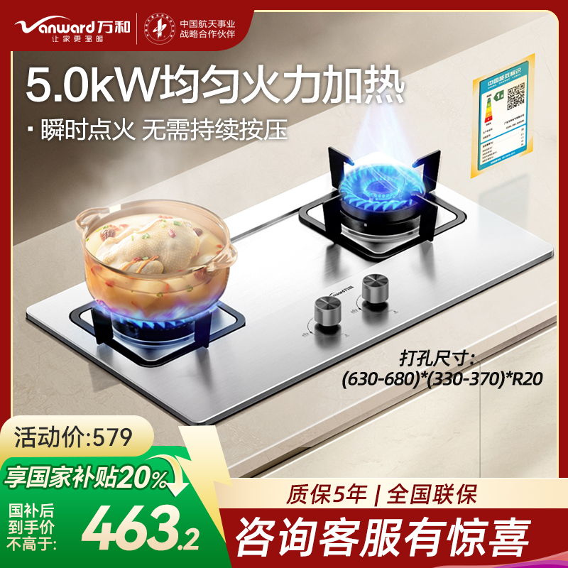 万和(Vanward)[小灶君]B6天然气燃气灶具钢化玻璃煤气炉双灶嵌入式5kW家用猛火一级能效家电 B6B60
