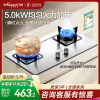 万和(Vanward)[小灶君]B6天然气燃气灶具钢化玻璃煤气炉双灶嵌入式5kW家用猛火一级能效家电 B6B60