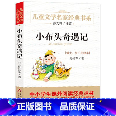 小布头奇遇记 [正版]小布头奇遇记曹文轩系列儿童文学名家经典书系故事书8-10-12-15岁小学生三四五六年级课外书