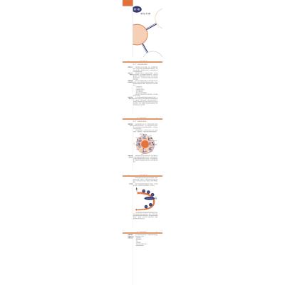 实验室质量管理体系手册