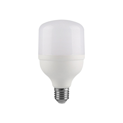 亿维顿 LED灯泡E27螺口 60W 个