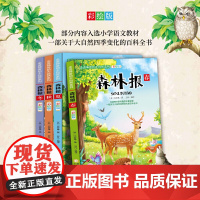 森林报 全四册 小学课外书三四五年级课外阅读 小学生课外阅读书籍8-12周岁儿童读物的故事绘本 校园中小学生课外阅读经典