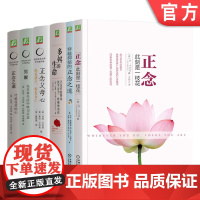套装 卡巴金心理学作品集套装全6册 正念+多舛的生命+穿越抑郁的正念之道+正念父母心+觉醒+正念之道 正念减压心灵疗愈心