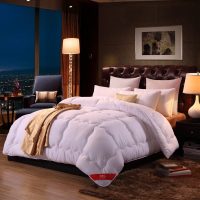 加厚保暖被子冬被宿舍单人学生春秋棉被芯空调被褥四季通用 200x230cm 双人冬被(6斤) 温