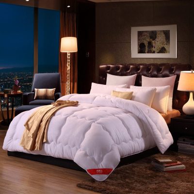 加厚保暖被子冬被宿舍单人学生春秋棉被芯空调被褥四季通用 200x230cm 双人冬被(6斤) 温