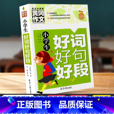 好词好句好段大全 小学六年级 [正版]2022秋默写能手一年级上册三年级四五年级六年级语文字词句专项训练通城学典小学语文