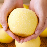 [西沛生鲜]辽宁黄元帅苹果 净重8.7斤 特大果 单果85-90mm 脆甜可口