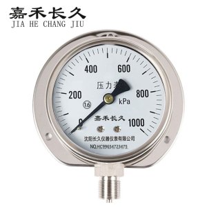 嘉禾长久 不锈钢风表压力表径向带边 Y100BF/T块