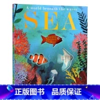 [正版]海洋Sea 英文原版科普绘本 3-6岁儿童英文早教亲子阅读洞洞书 英语自然拼读绘本 大自然的秘密系列 平装挖洞