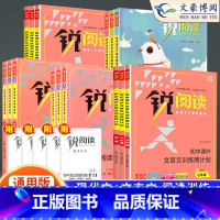 课外文言文训练周计划 八年级/初中二年级 [正版]锐阅读初中语文阅读训练五合一七年级八年级九年级中考现代文阅读理解训练1