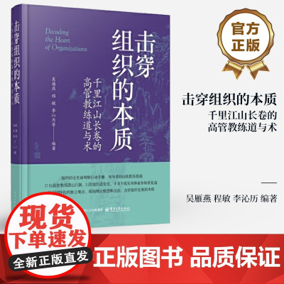 店 击穿组织的本质 千里江山长卷的高管教练道与术 中国特色下的高管教练手册 吴雁燕 等 著 电子工业出版社