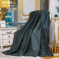 被子被芯夏季薄被子空调被夏凉被棉棉春秋被天丝单人双人夏被 三维工匠