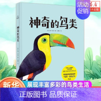 [正版]神奇的鸟类 马特·休厄尔 发现令人震撼的鸟类智慧 展现丰富多彩的鸟类生活 儿童绘本图画书故事书 青少年科普类