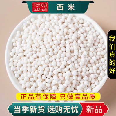 甄选西米100克干货西米露芒果椰汁水果捞水晶粽子原料9260
