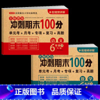 六年级下册 语数2本 小学升初中 [正版]2023小升初模拟试卷真题卷语文数学英语全套人教版小学毕业升学系统总复习知识大