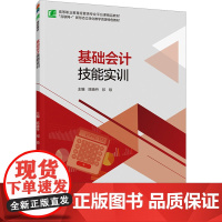 基础会计技能实训 陈晓丹,祁琼 编 大学教材大中专 正版图书籍 中国轻工业出版社