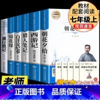 [七上全套完整版6册]朝花+西游+猎人+白洋淀+镜花缘+湘行散记 [正版]七年级上册西游记原著朝花夕拾鲁迅人民教育出版社