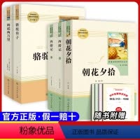 [七上/下必读]朝花夕拾+西游记+海底两万里+骆驼祥子 [正版]原著七年级上册必选读课外书城南旧事白洋淀纪事猎人笔记湘行
