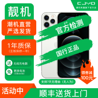 [99新]Apple iPhone 12ProMax 银色 白色128GB 二手苹果12PM 全网通5G 国行正品 手机