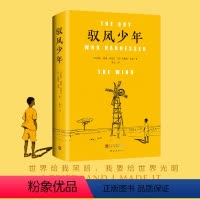 [正版] 驭风少年(精)威廉·坎宽巴 布赖恩·米勒著 同名电影原著外国文学温情励志小说 I tried,and I m