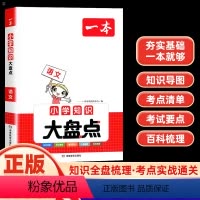 语文 全国通用 小学升初中 [正版]2024一本小学知识大盘点语文 开心小升初总复习考点基础知识大全五六年级小考知识集